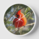 Search for cardinal bird art Nature