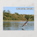 Search for eagle on postcards Lake