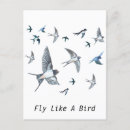 Search for swallows postcards Hirundo rustica
