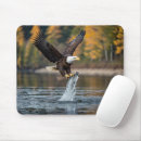 Search for fly fish mousepads Nature