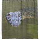 Search for novelty shower curtains Green