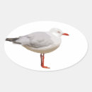 Search for birds of a feather stickers White