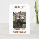 Search for attention getting Birthday
