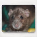 Search for dumbo mousepads Rats