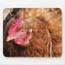 Search for hens mousepads Farms