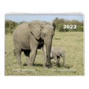 Search for african animal calendars Lion