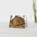 Search for nuts about you cards Rodent