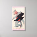 Search for james canvas prints John james audubon
