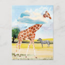 Search for giraffe postcards Funny