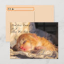Search for love of god postcards Faith