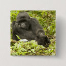 Search for mountain gorilla badges Rwanda