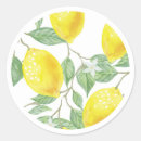 Search for lemon leaves stickers Lemons