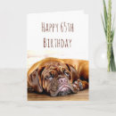 Search for funny 65th birthday cards Dog
