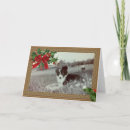 Search for border collie christmas cards Pet