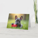 Search for french bulldog valentines day cards Hearts