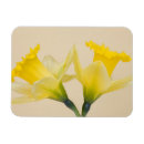 Search for jamie magnets Flora