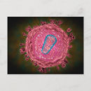 Search for nucleus postcards Cell biology