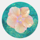 Search for hawaiian hibiscus stickers Flower