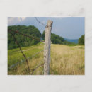 Search for barb wire postcards Landscape