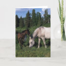 Search for foal cards Horse