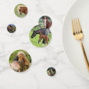 Search for photography confetti Cute