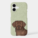 Search for chocolate labrador iphone cases Brown