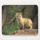 Search for den mousepads Wildlife