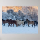 Search for horse ranch posters Farm