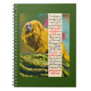 Search for lion notebooks Wildlife