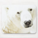 Search for predators mousepads Carnivore
