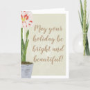 Search for amaryllis Winter flowers