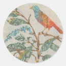 Search for aviary stickers Domestic