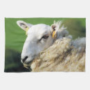 Search for sheep tea towels Cute