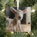 Search for cute animals christmas tree decorations Farm