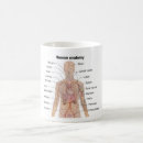 Search for human organ mugs Internal