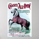 Search for chase is on the posters Horses