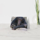 Search for thinking monkey cards Monkeys