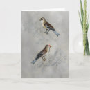 Search for aviary cards Animals