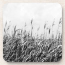 Search for dune barware Seascapes