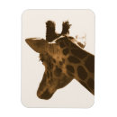 Search for profile magnets Mammal
