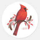 Search for pretty cardinal stickers Bird