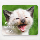 Search for siamese cat mousepads Funny