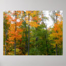 Search for tree fall posters Forest