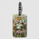 Search for vintage luggage tags Nature