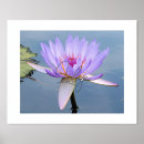 Search for soft water posters Blue