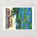 Search for texas bluebonnet postcards Indian paintbrush
