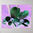 Search for illuminated posters Nature