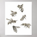 Search for bee drawing posters Bees