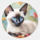 Search for siamese cat crafts party Nature
