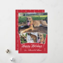 Search for red and white pattern cards Script